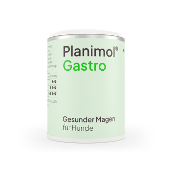 Planimol Gastro Tabletten