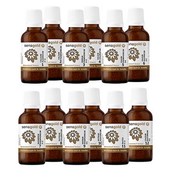 Schüßler Salze 12er Set Globuli Nr. 1- 12, 12x50 g